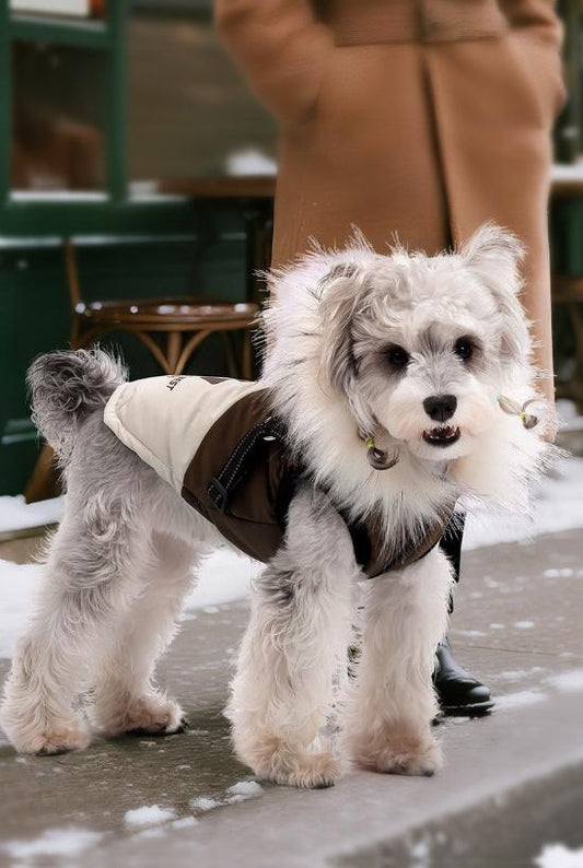 Varm Hundjacka Vinter med Luva